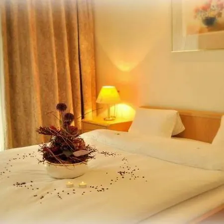 レーマーホフ 3* ロイカーバード