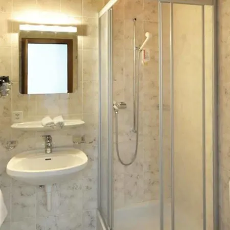 レーマーホフ ホテル ロイカーバード